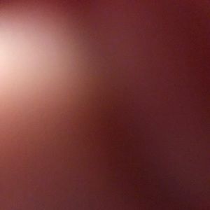 Meet your Posher, Pat